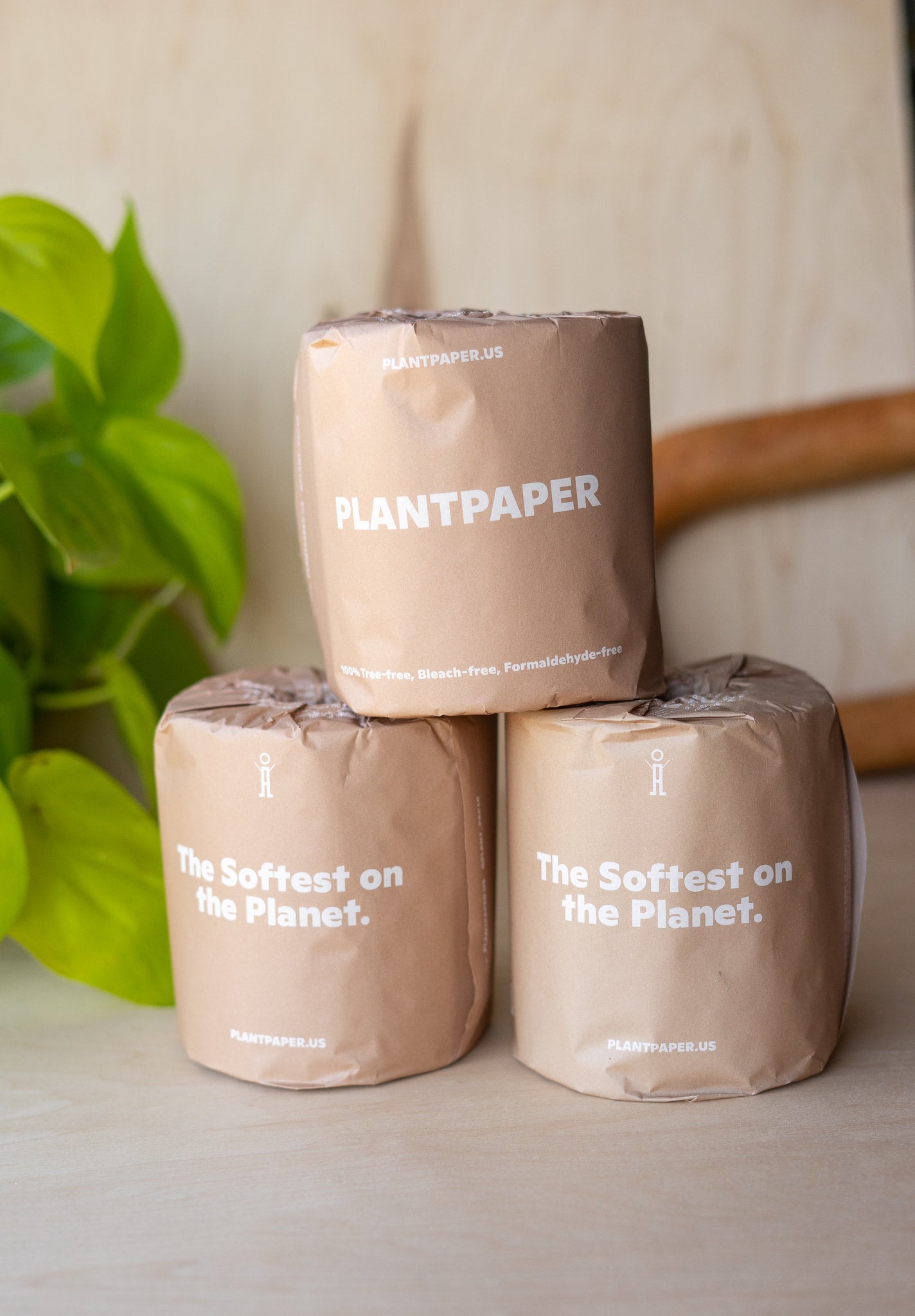 Toilet Paper Rolls Individually Wrapped
